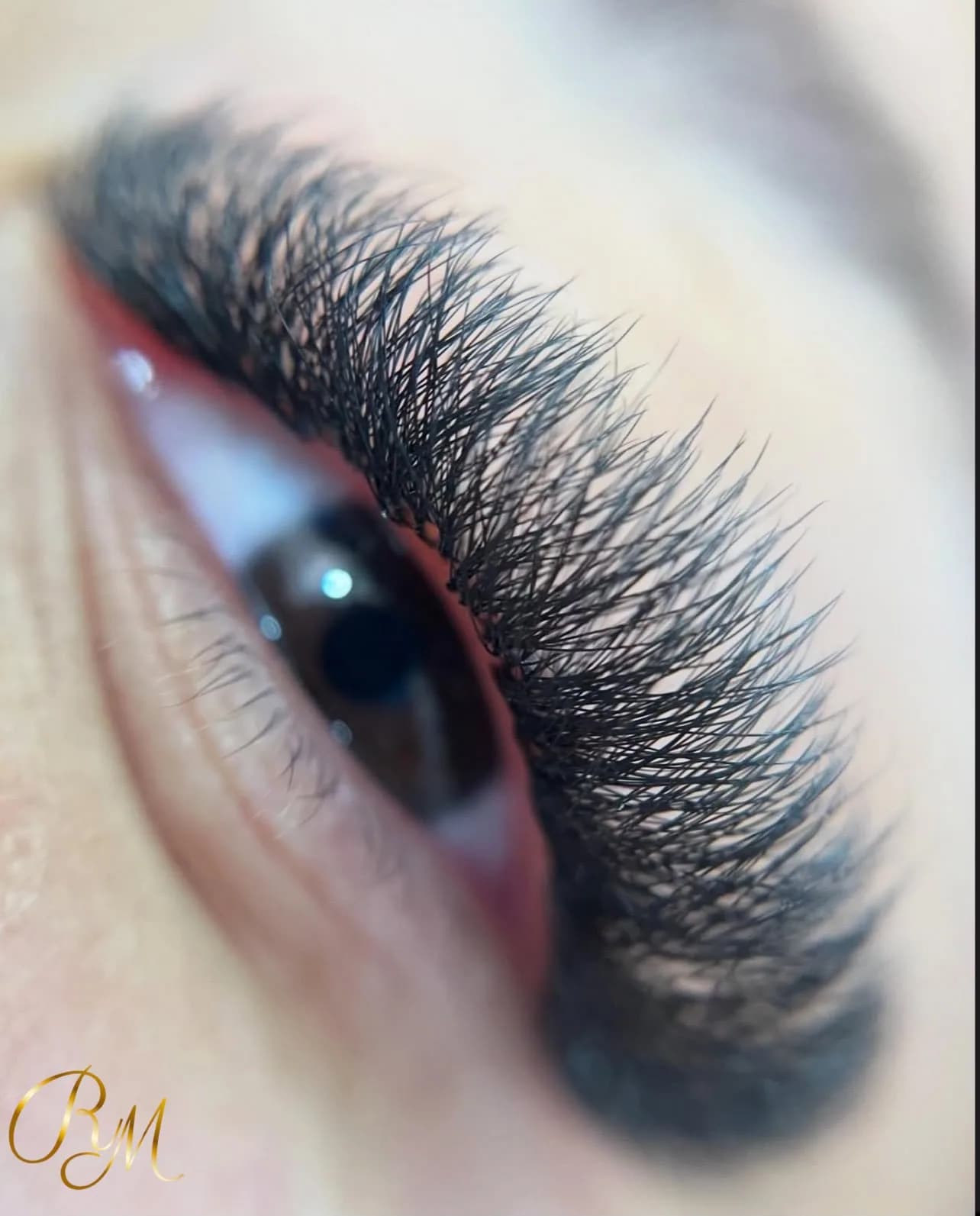 Egípcio 5D — Studio Rebeca Montanari, Barra Velha SC